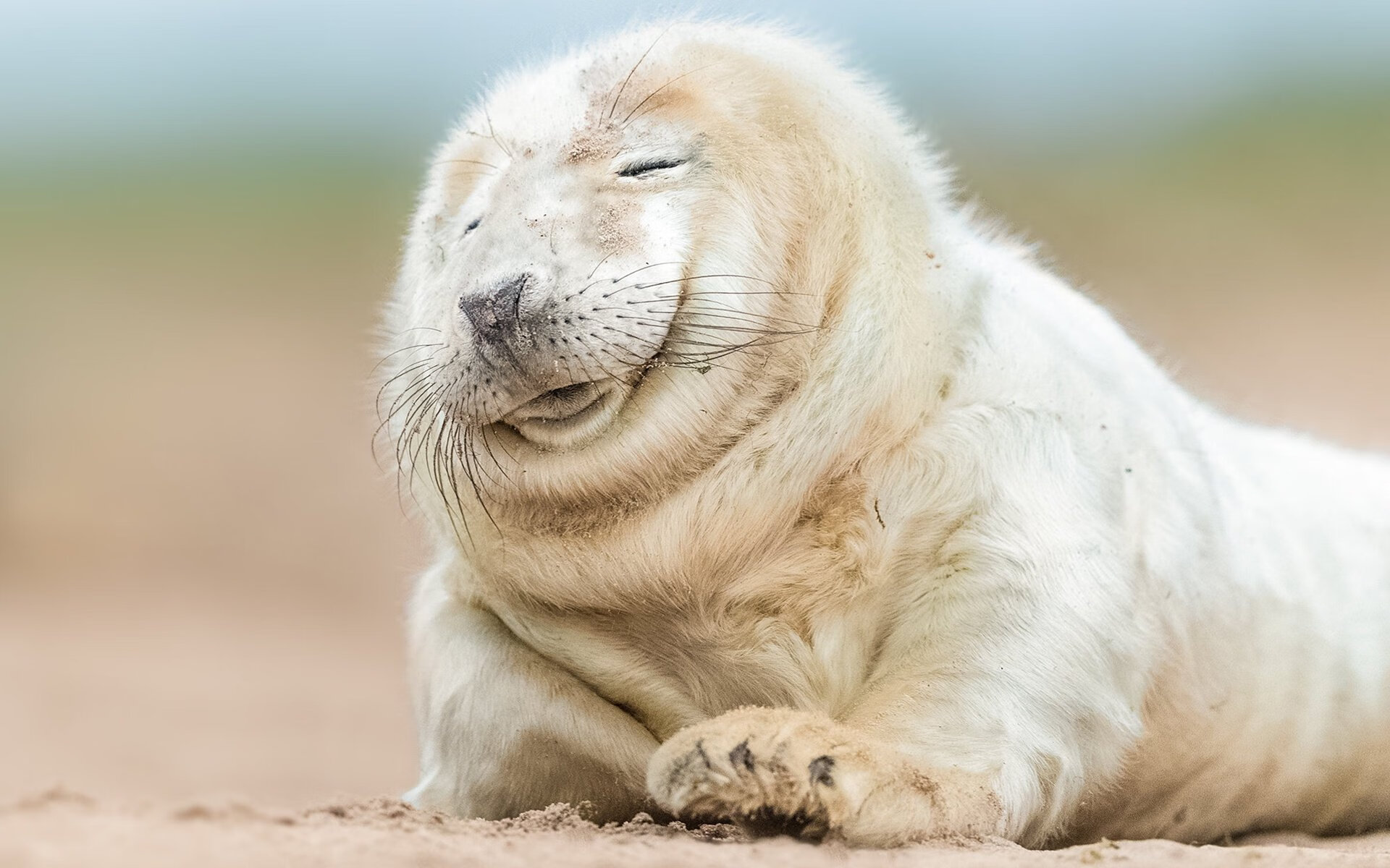 开云体育官网-寒冰与烈阳，冰岛对阵牙买加，恩佐关键回合不手软