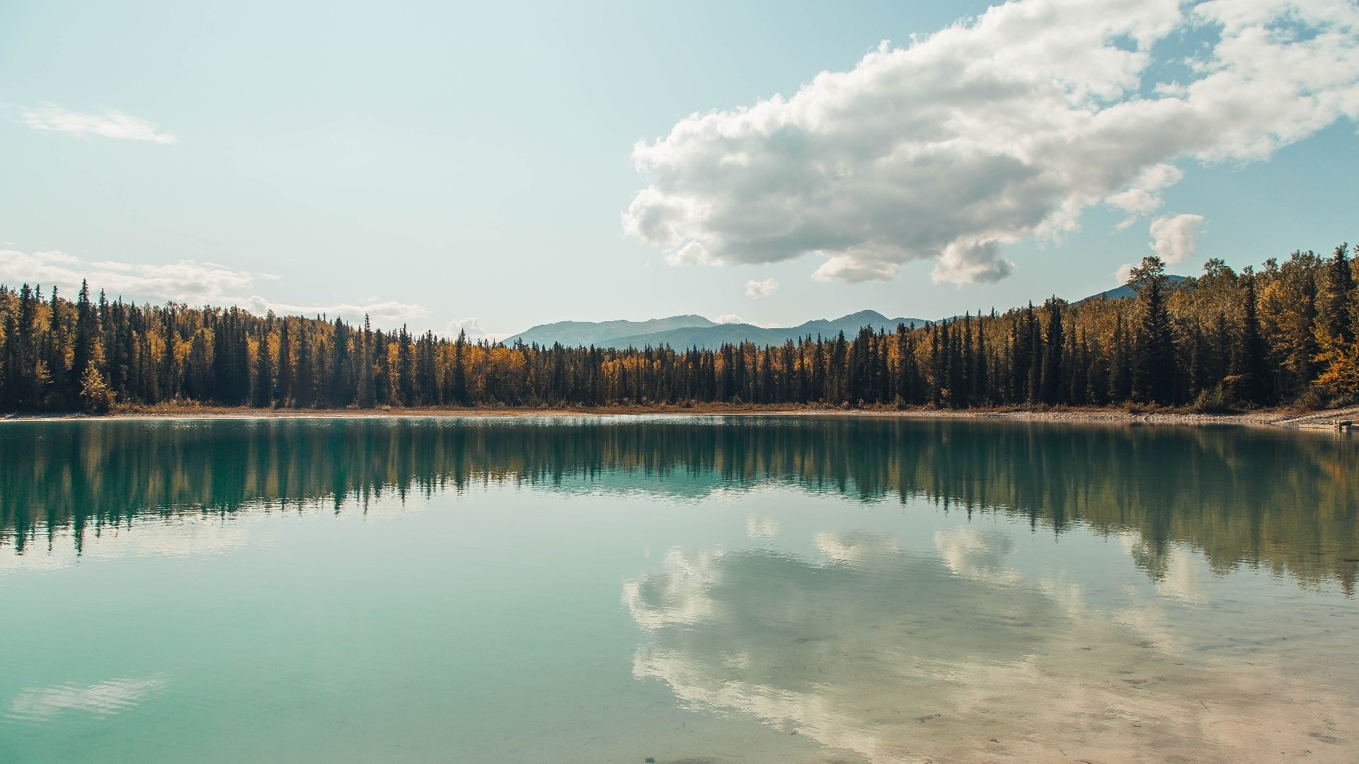 绿茵与硬木的共鸣，英超争冠焦点战与广厦力克凯尔特人的硬仗哲学