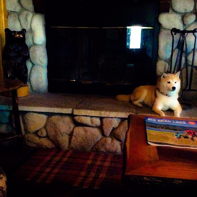 开云sport-巨星的定义之战，米切尔勇士之夜如何用价值镌刻不朽