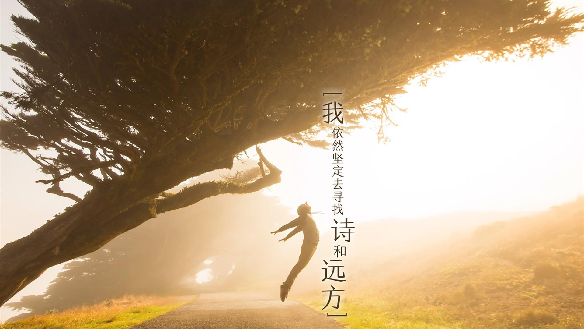 开云体育登录-沙漠中的红潮，2026世界杯A组，智利大胜澳大利亚，齐耶赫中场魔术点燃全场